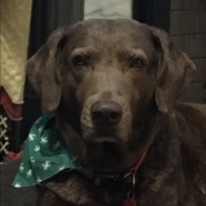 Meet your Posher, Mark